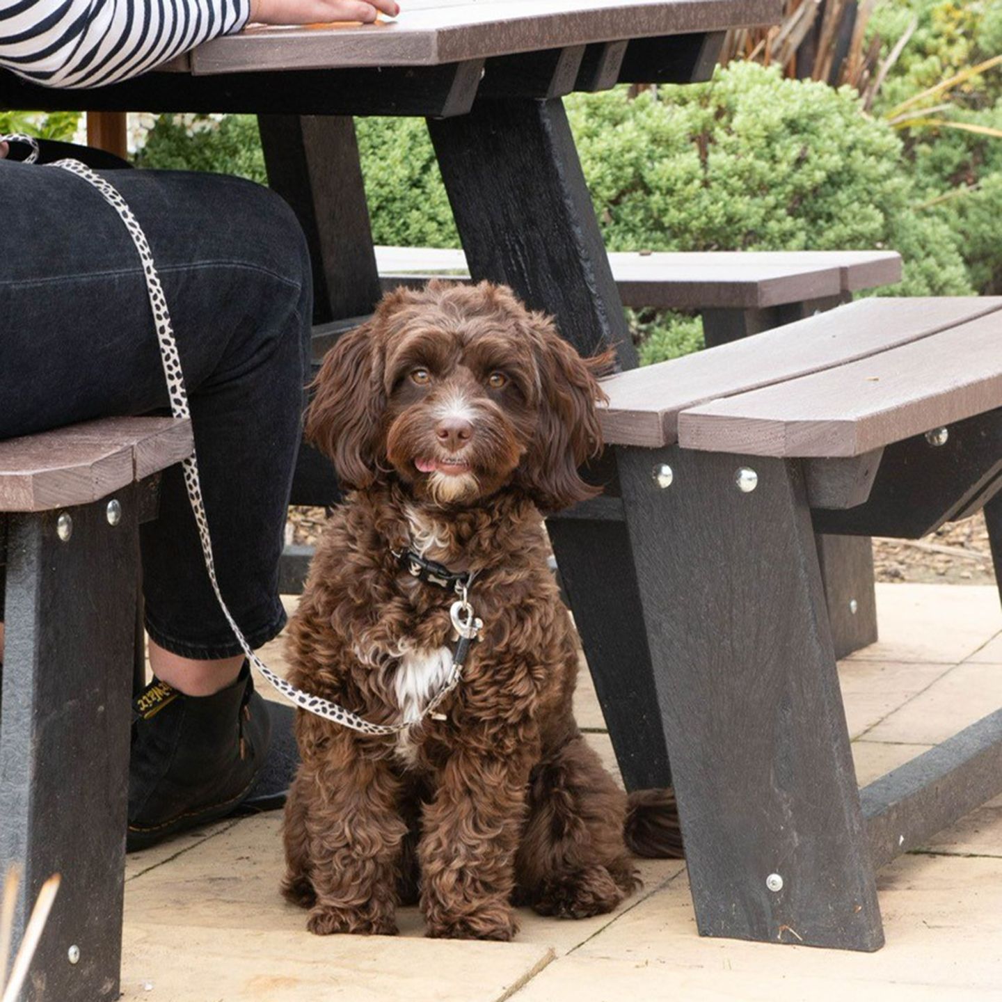 Your local dog friendly pub in Stourport on Severn